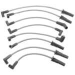 Standard Motor Products 6643 Spark Plug Wire Set (6643)