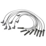 Standard Motor Products 6810 Spark Plug Wire Set