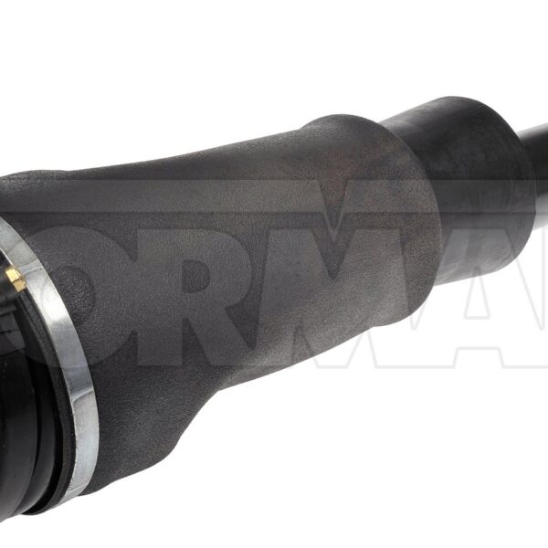 DOR-949-858 Air Suspension Air Strut Assembly