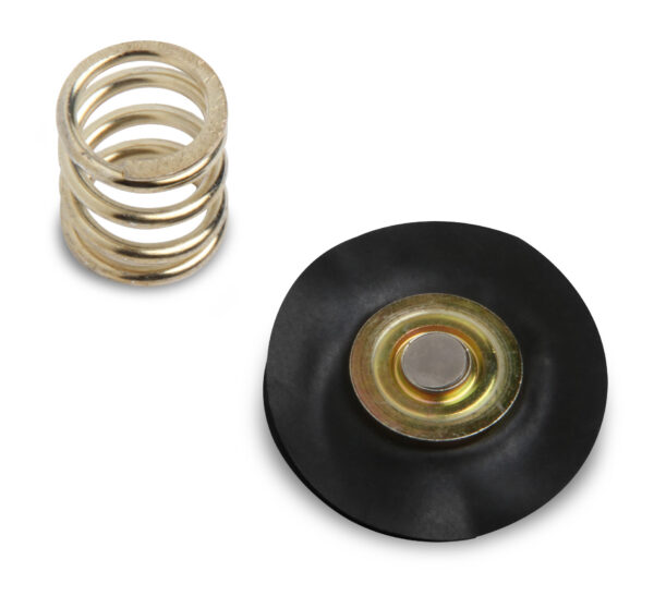 Holley 12-826 12-846 Regulator Rebuild Kit (12826)
