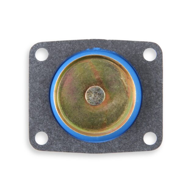 30cc Pump Diaphragm (Gflt)