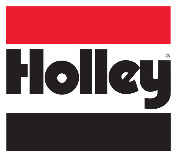 Holley 162-577 Filter  460 G  100 M -12an (162577)
