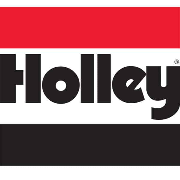 Holley 162-577 Filter  460 G  100 M -12an (162577)