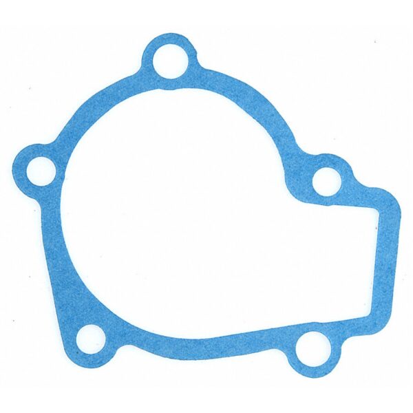 Water Pump Gasket