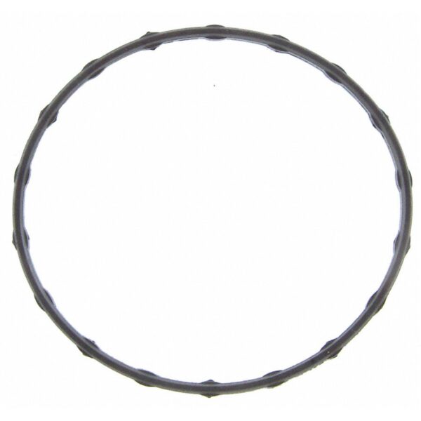 Water Pump Gasket