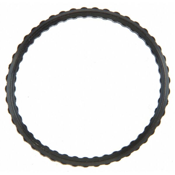 Thermostat Gasket