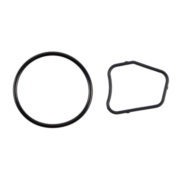 Thermostat Gasket