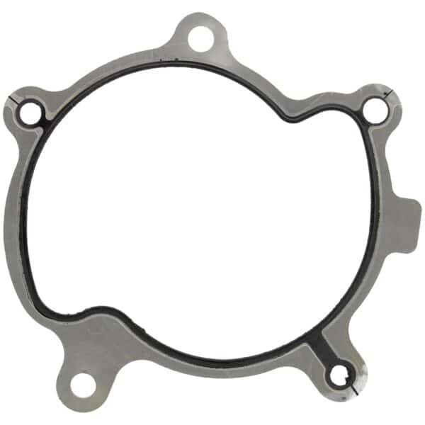 Water Pump Gasket