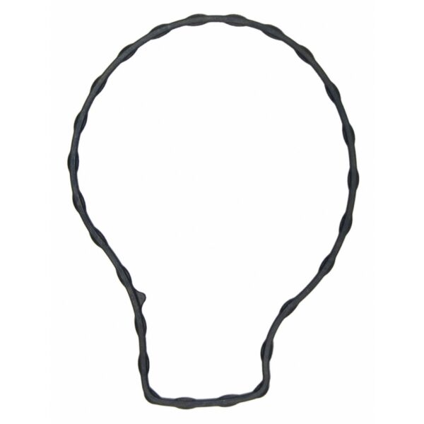 Water Pump Gasket