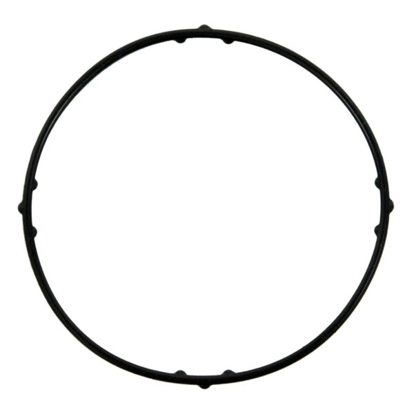 Thermostat Gasket
