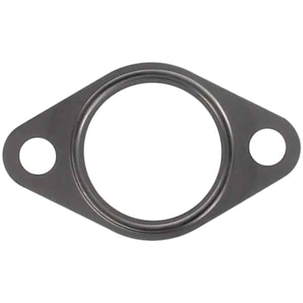 Water Pump Gasket