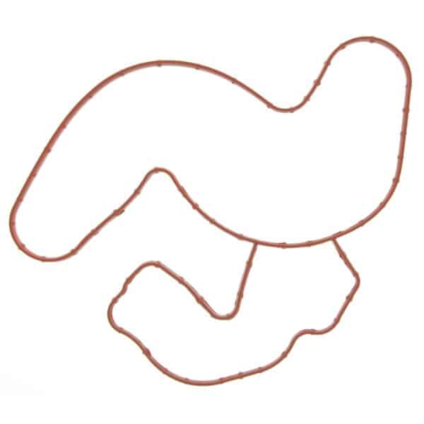 Water Pump Gasket
