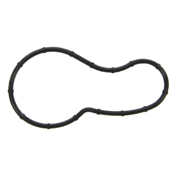 Thermostat Gasket