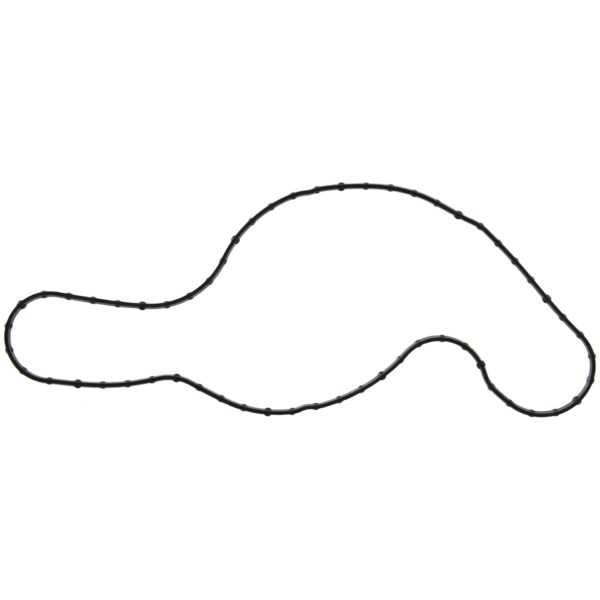 Water Pump Gasket