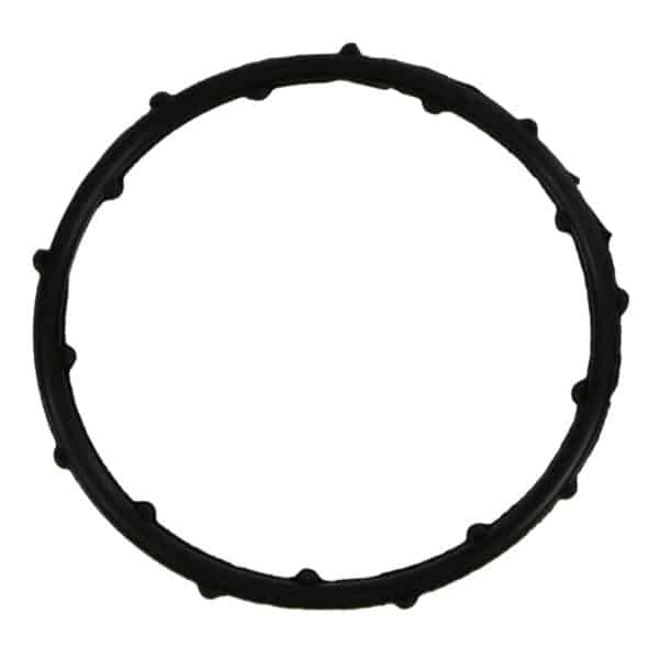 Thermostat Gasket