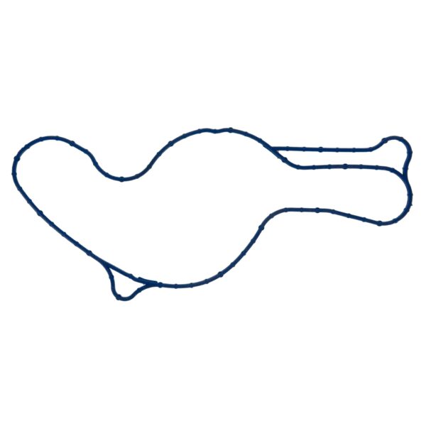 Water Pump Gasket