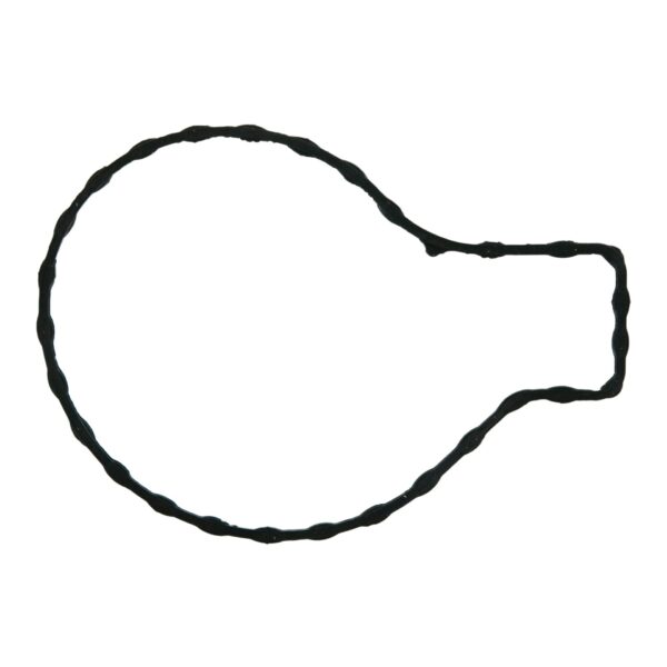 Fel-Pro 36010 Water Pump Gasket Set (36010)
