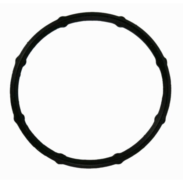 Water Outlet Gasket