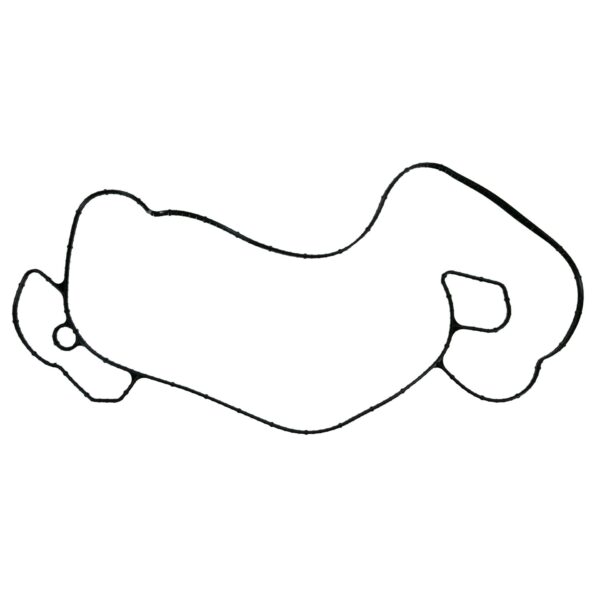 FEL-PRO 36020 Engine Water Pump Gasket for Ford F-250 Super Duty
