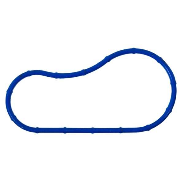 Thermostat Gasket