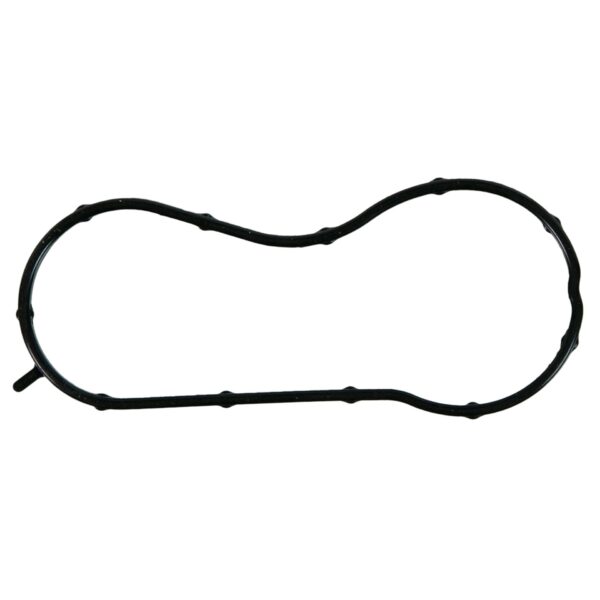 Water Outlet Gasket