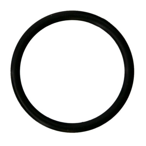 Water Pump Gasket