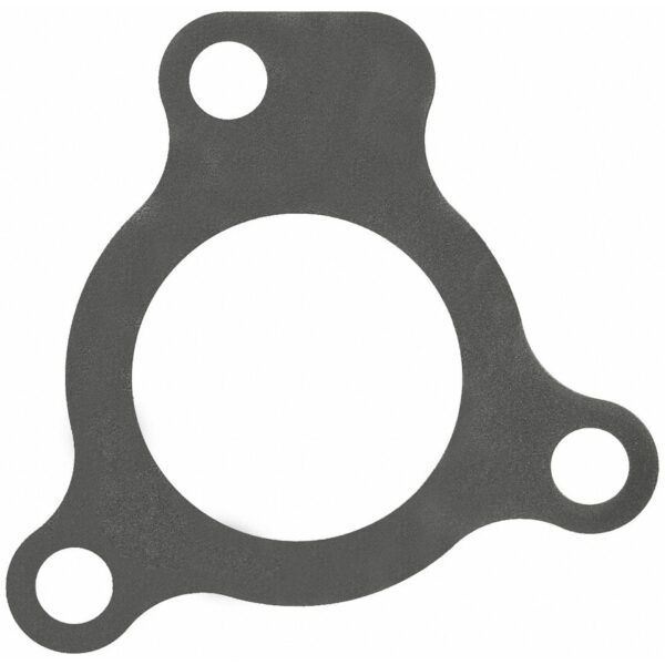 Exhaust Pipe Gasket