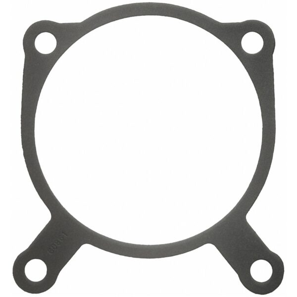 Throttle Body Gasket