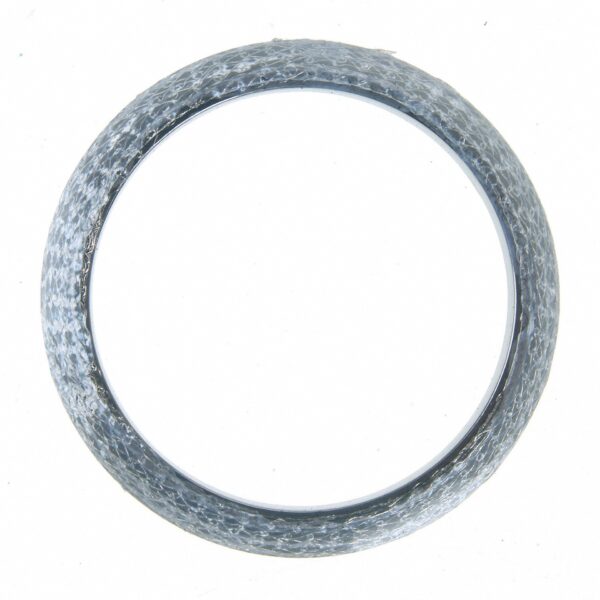 Doughnut Gasket