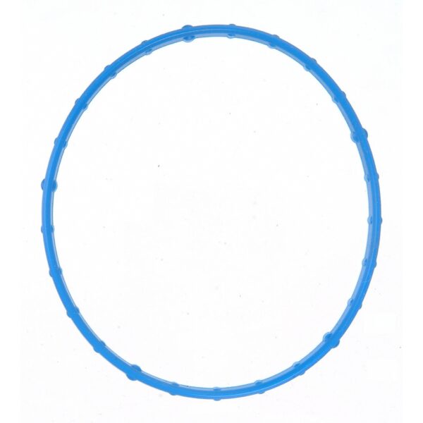 Throttle Body Gasket
