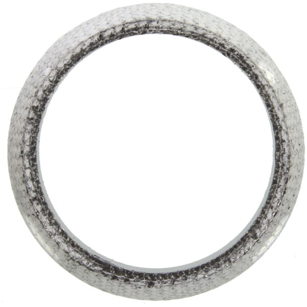 Exhaust Pipe Gasket