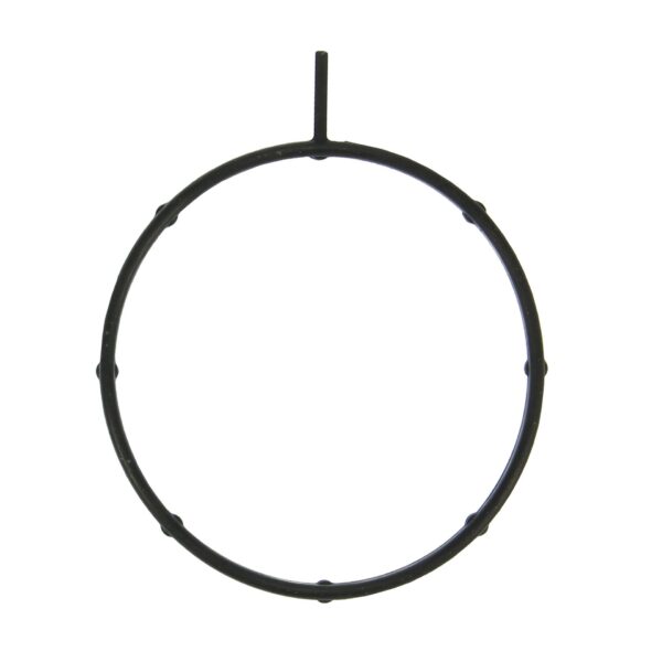 Throttle Body Gasket