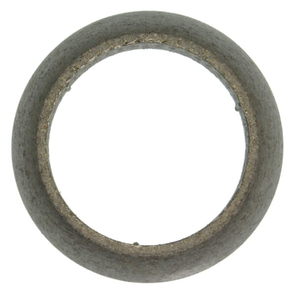 Exhaust Pipe Gasket