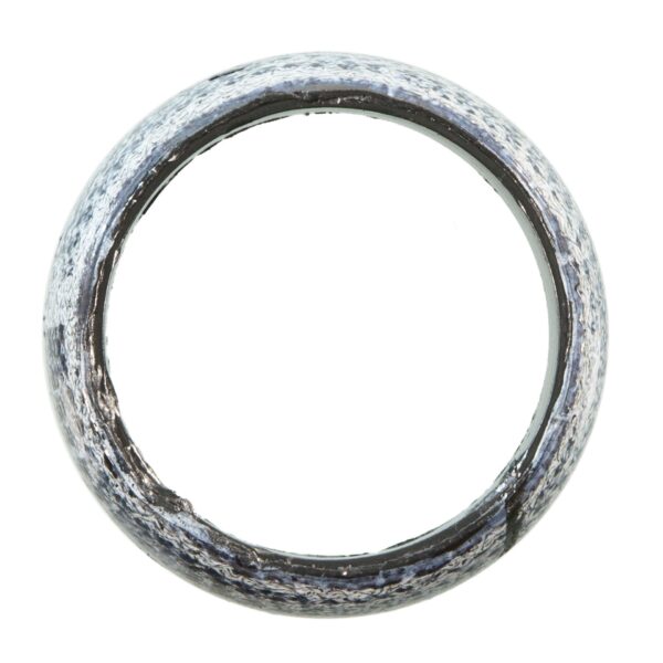 Exhaust Pipe Gasket