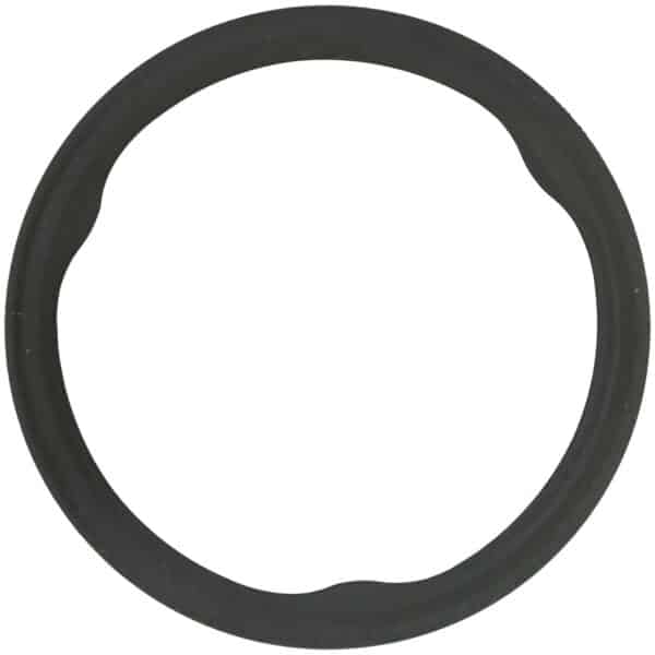 Exhaust Pipe Gasket