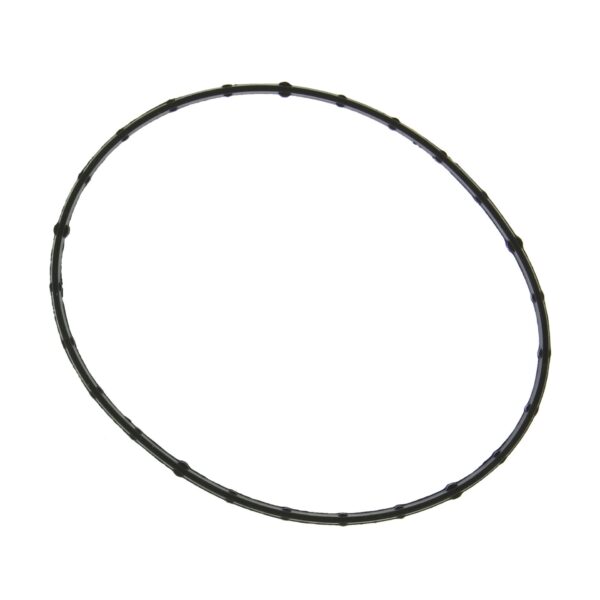 Throttle Body Gasket
