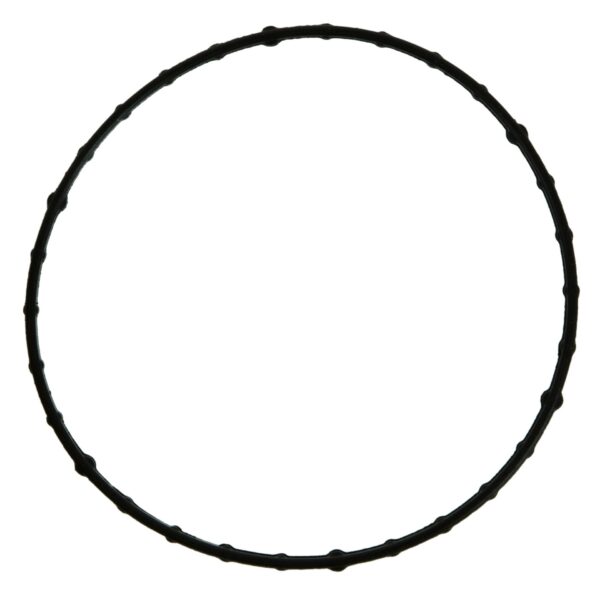 Throttle Body Gasket