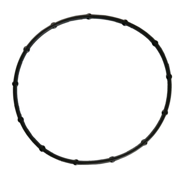 Throttle Body Gasket