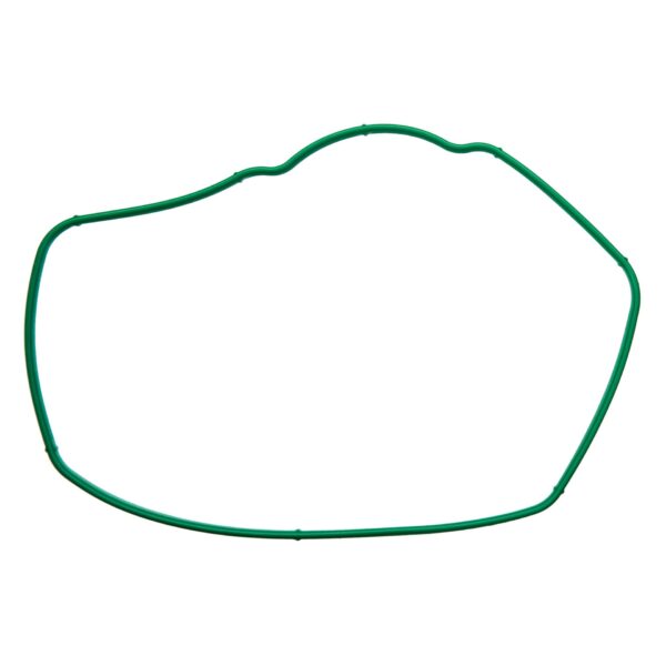 Throttle Body Gasket