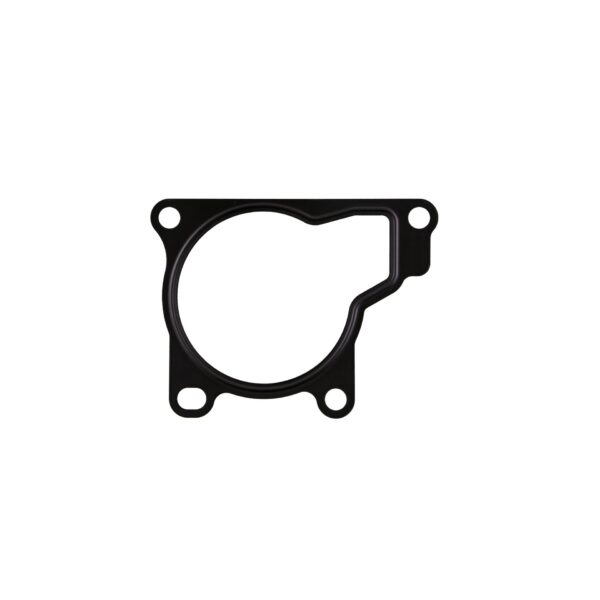 Throttle Body Gasket