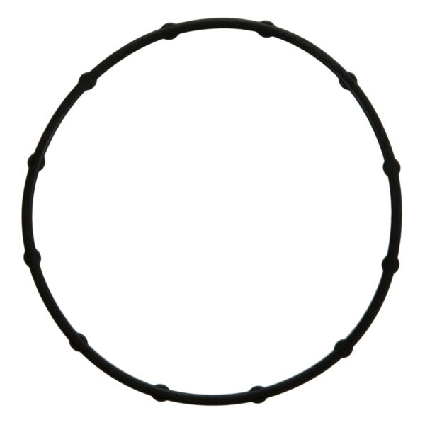 Fel-Pro 72737 Oil Filter Adapter Gasket (72737)