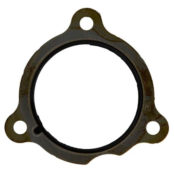 Camshaft Sensor Seal
