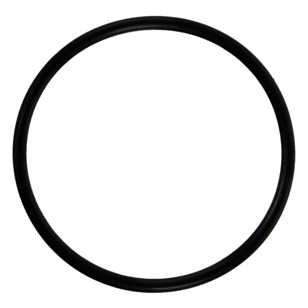 Plenum Gasket
