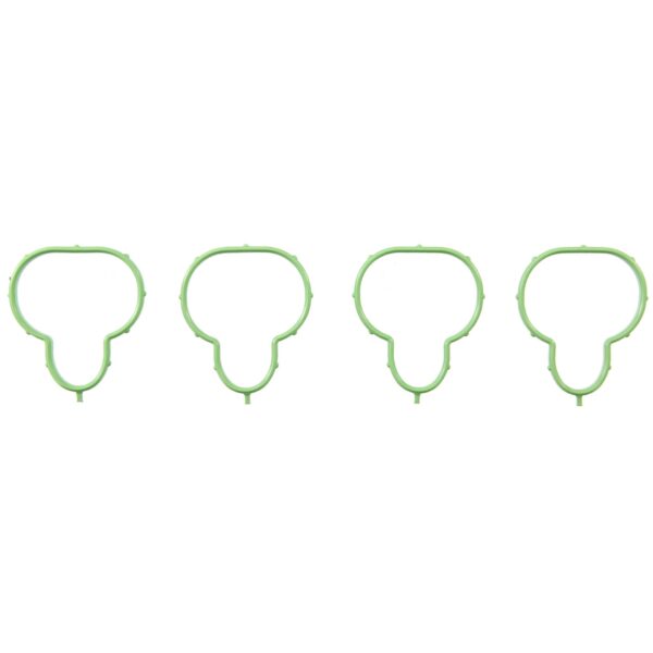 Int Manifold Set