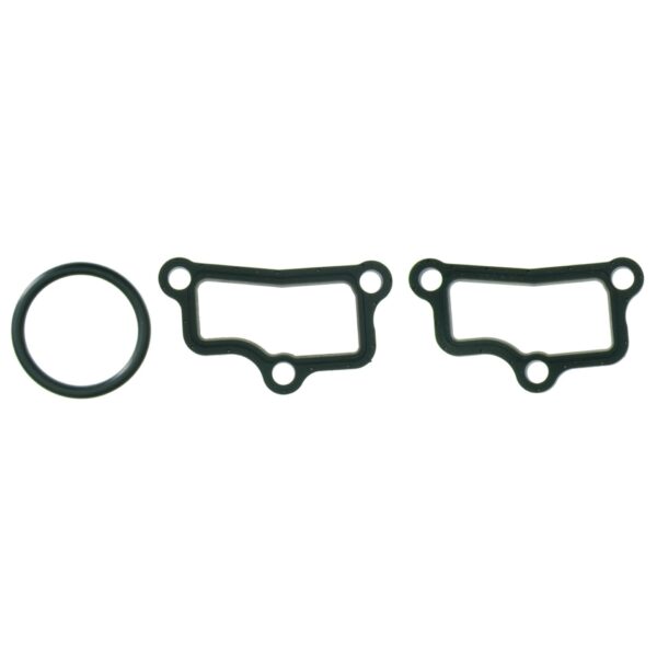 Plenum Gasket Set