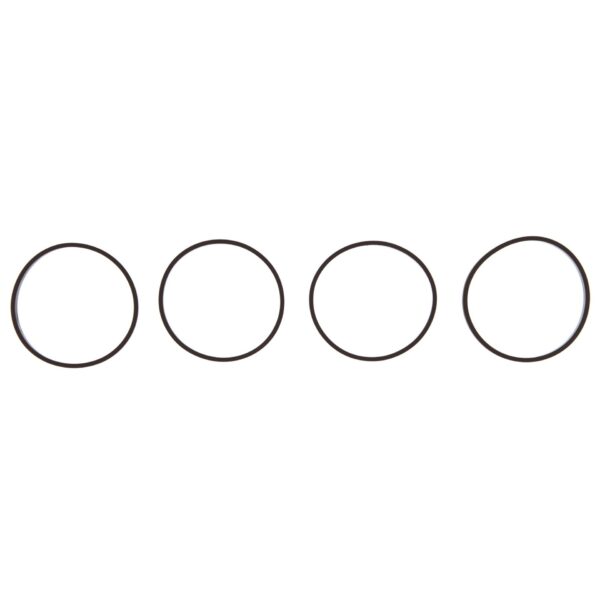 Int Manifold Set