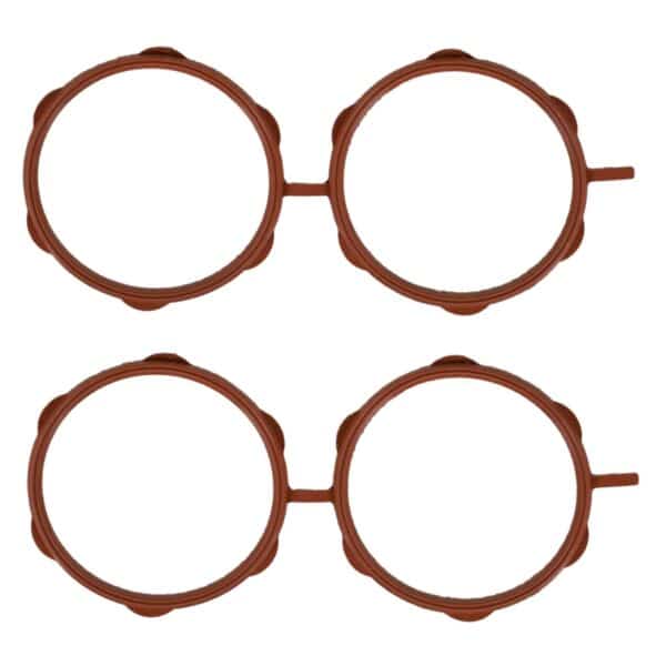 Plenum Gasket
