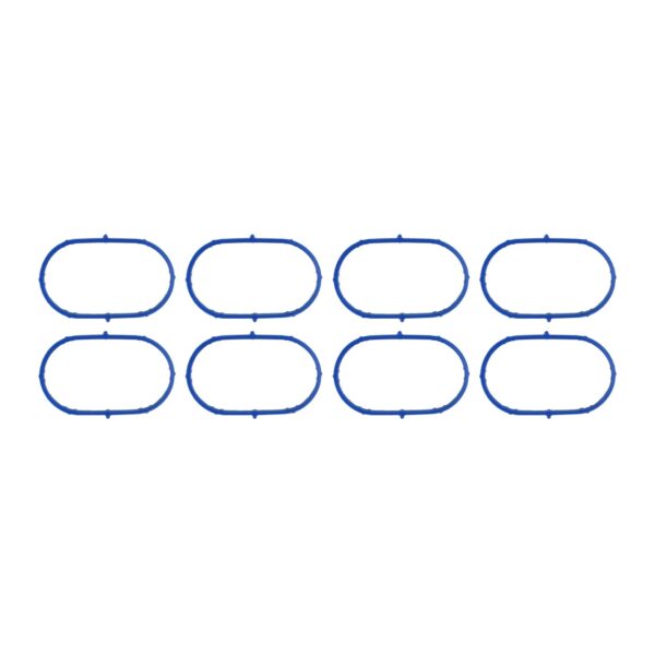 Intake Manifold Gasket