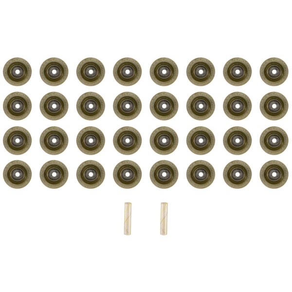 Valve Stem Seal Set