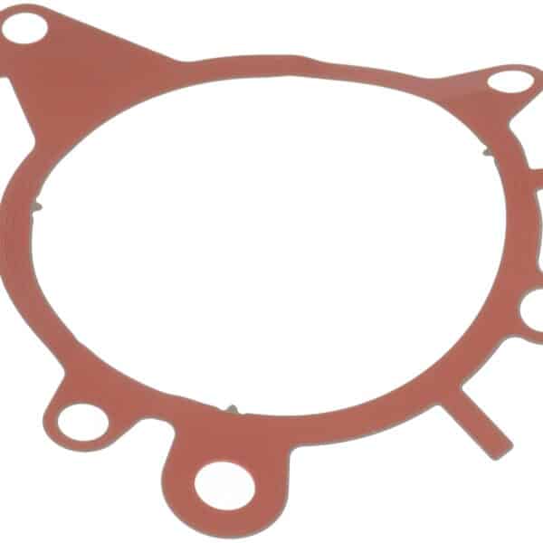 DOR-904-075 Vacuum Pump Gasket